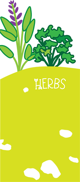Find out more about herbs